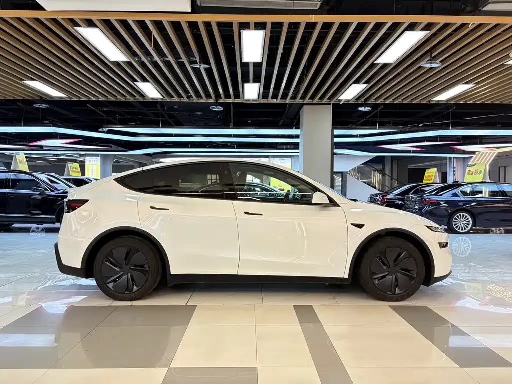 Tesla Model Y — фото 9