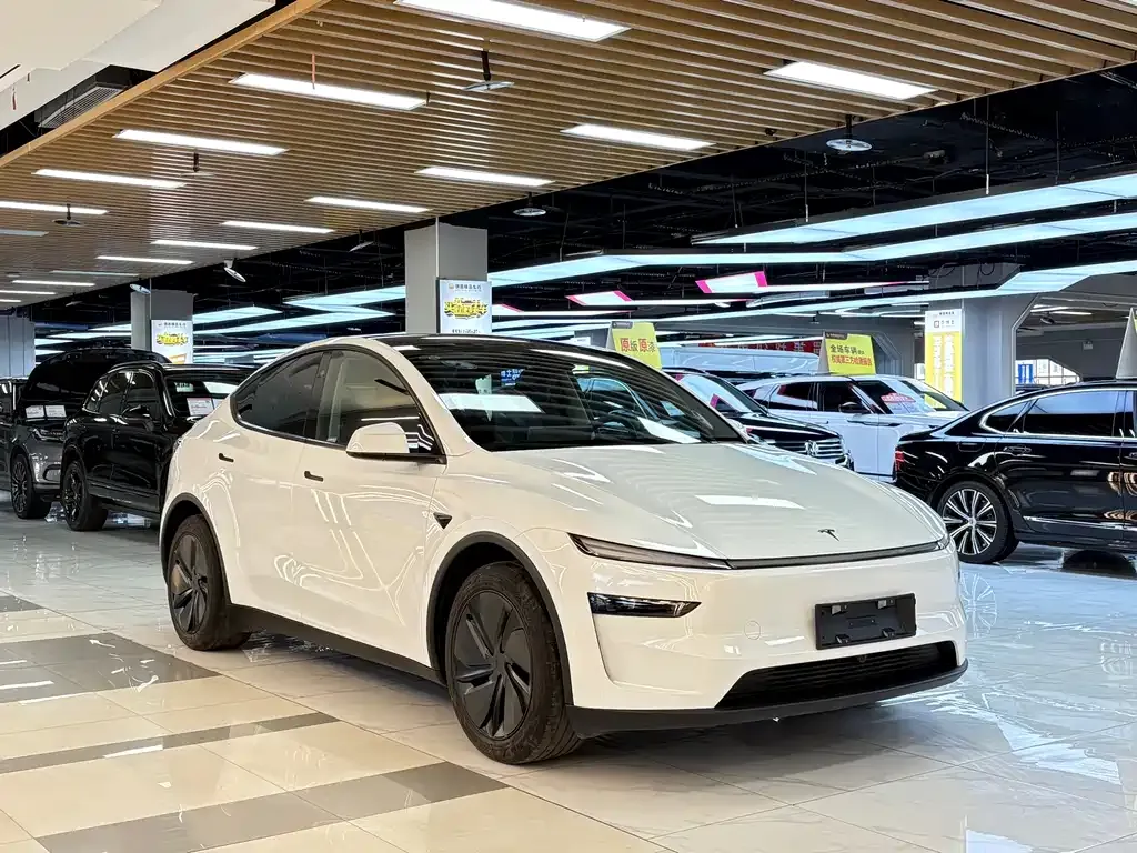 Tesla Model Y — фото 10