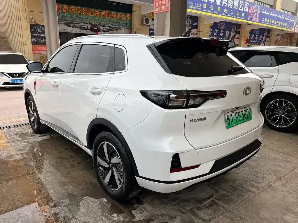 Qiyuan Q05 Classic 2024 из CN, фото 9
