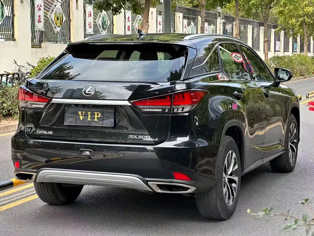 Lexus RX 2022 из CN, фото 9