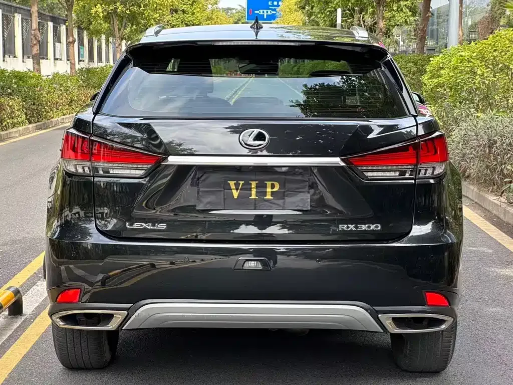 Lexus RX 2022 из CN, фото 5