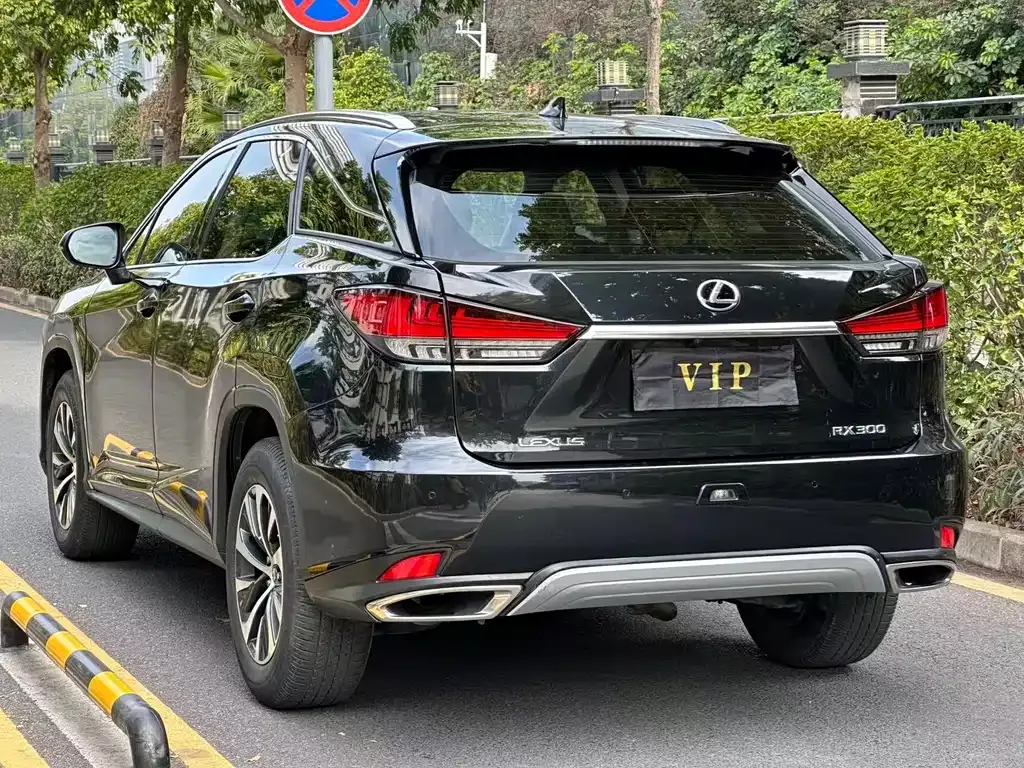 Lexus RX 2022 из CN, фото 8