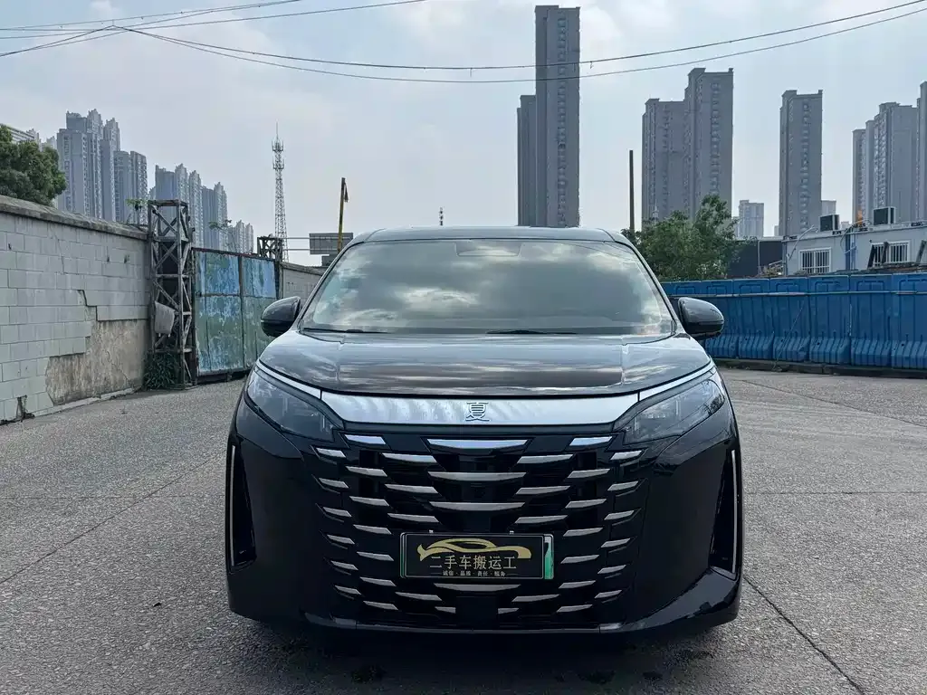 BYD Xia 2025 из CN, фото 3