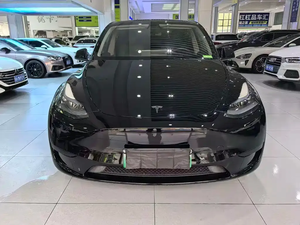 Tesla Model Y — фото 8