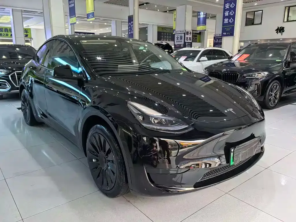 Tesla Model Y — фото 6