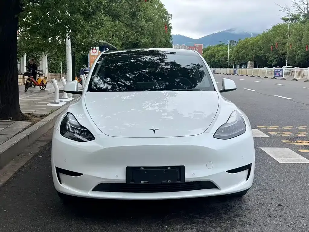 Tesla Model Y — фото 5