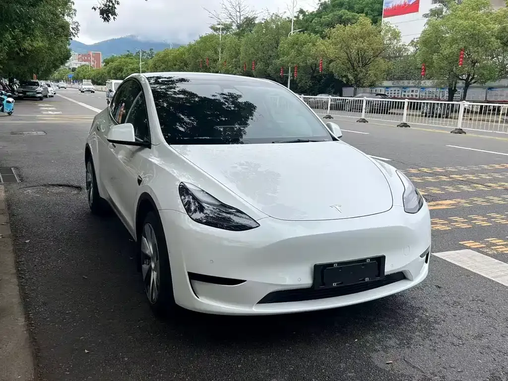 Tesla Model Y — фото 9