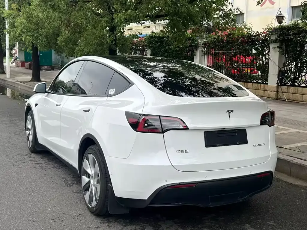 Tesla Model Y — фото 8