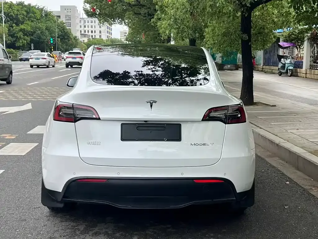 Tesla Model Y — фото 6