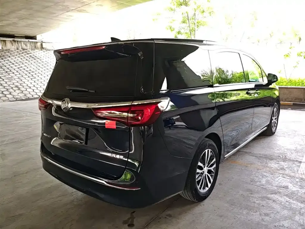 Buick GL8 2023 из CN, фото 6