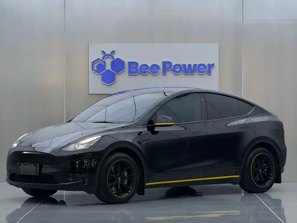 Tesla Model Y — фото 2