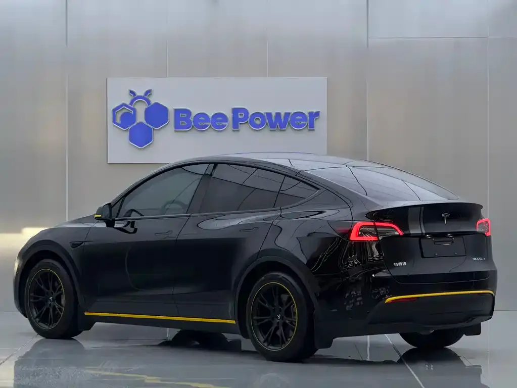 Tesla Model Y — фото 10