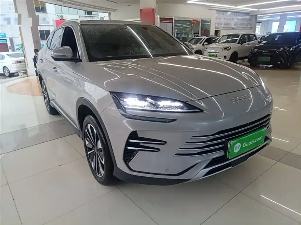 BYD PLUS New Energy — фото 9