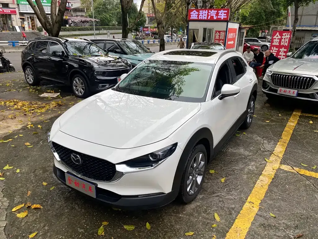 Mazda CX-30 2021 из CN, фото 8