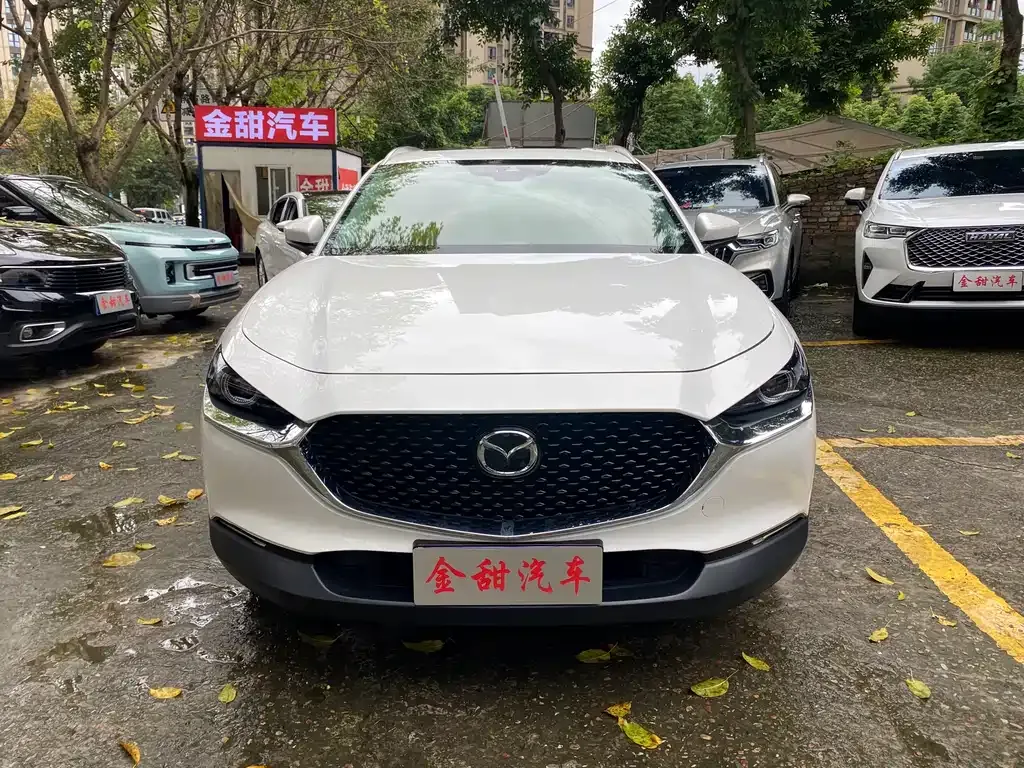 Mazda CX-30 2021 из CN, фото 10