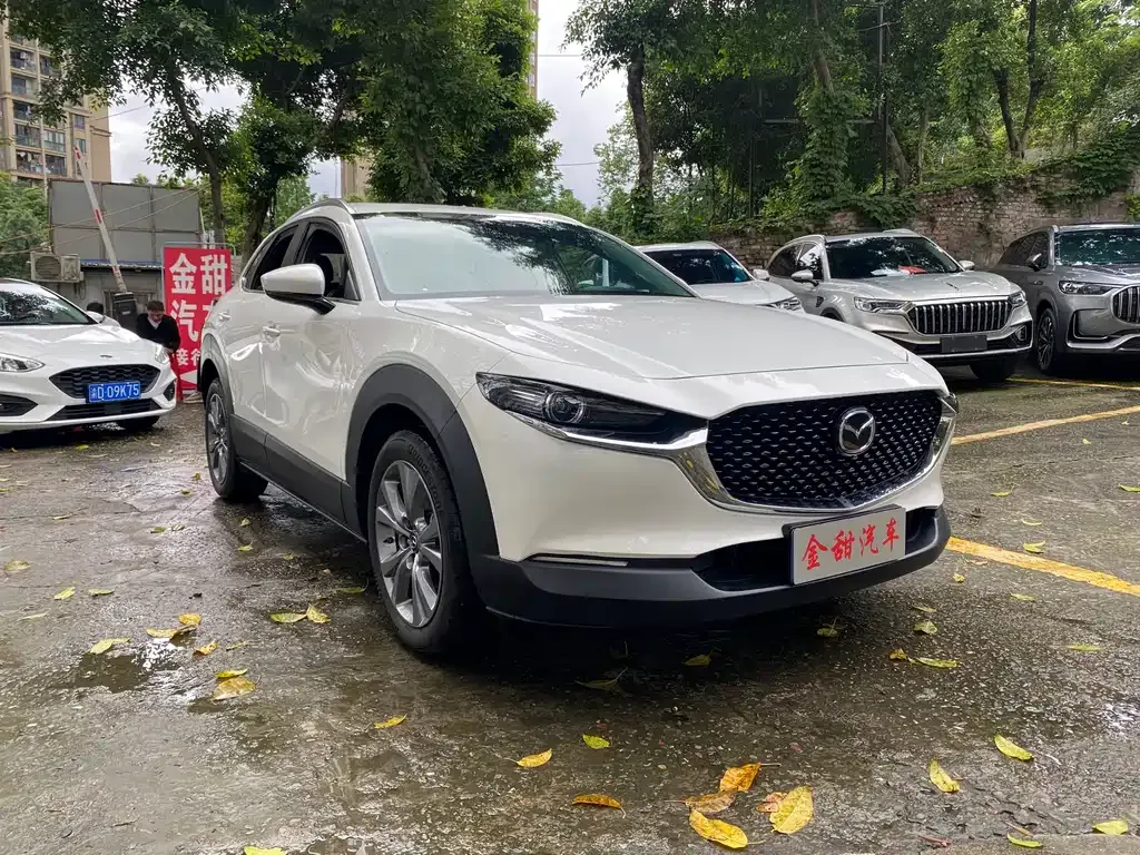 Mazda CX-30 2021 из CN, фото 9