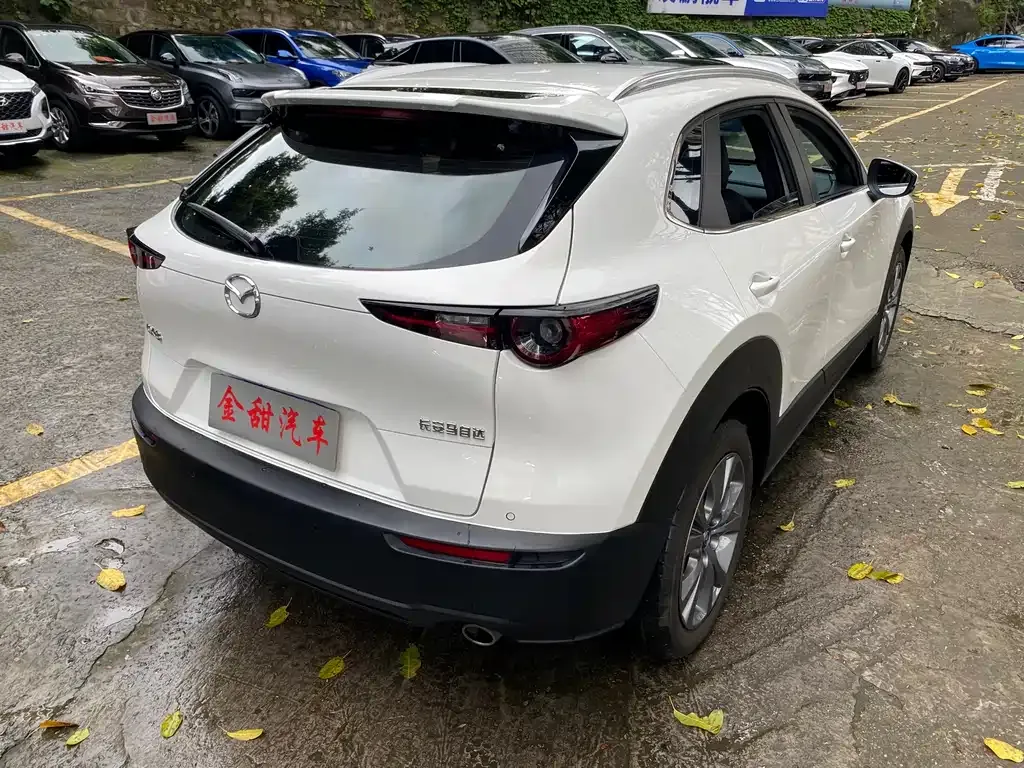 Mazda CX-30 2021 из CN, фото 7