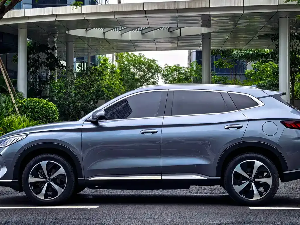 BYD PLUS New Energy — фото 2