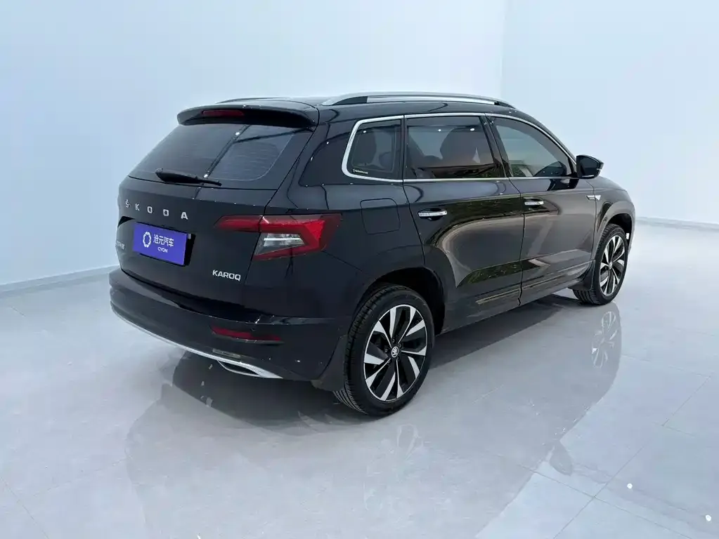 Skoda Karoq — фото 9