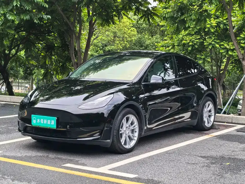 Tesla Model Y — фото 1