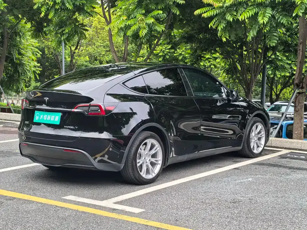 Tesla Model Y — фото 10