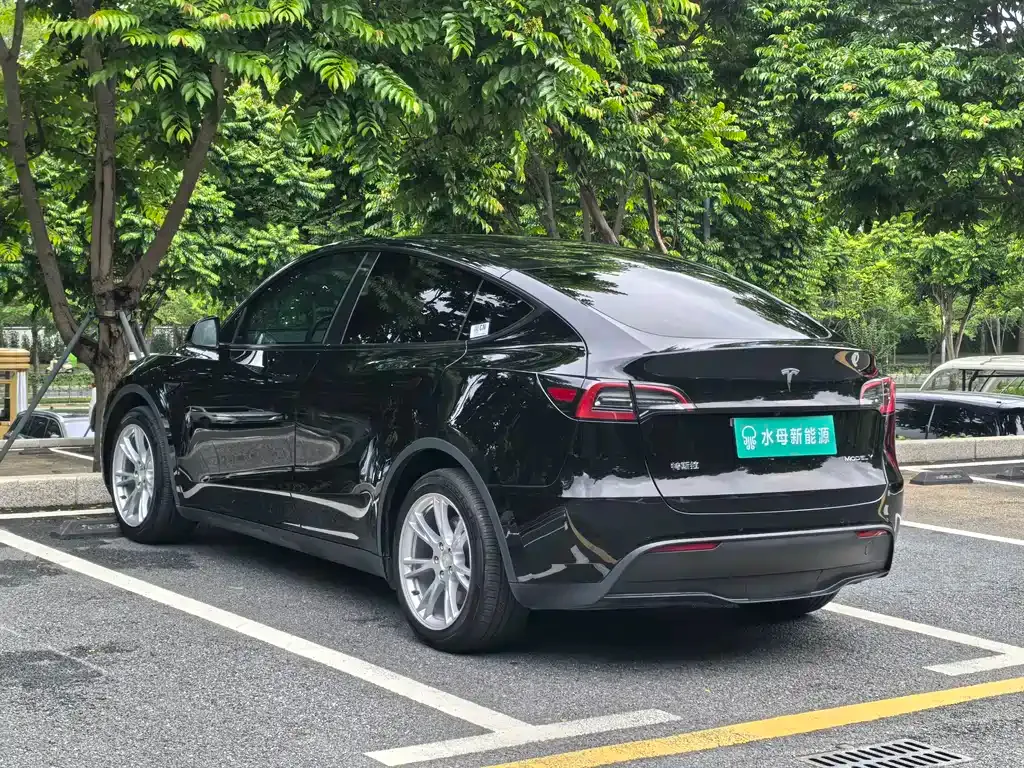 Tesla Model Y — фото 8