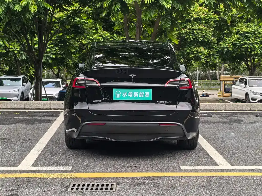Tesla Model Y — фото 9
