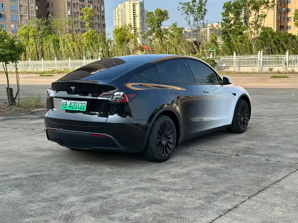 Tesla Model Y — фото 8