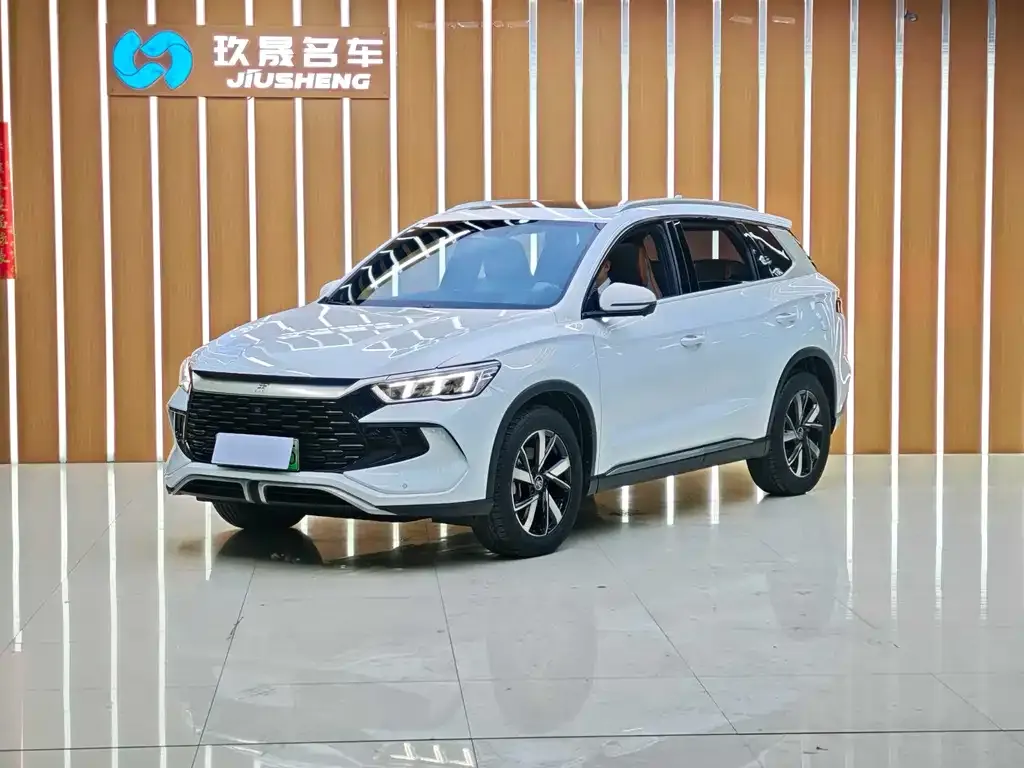 BYD Pro New Energy — фото 1