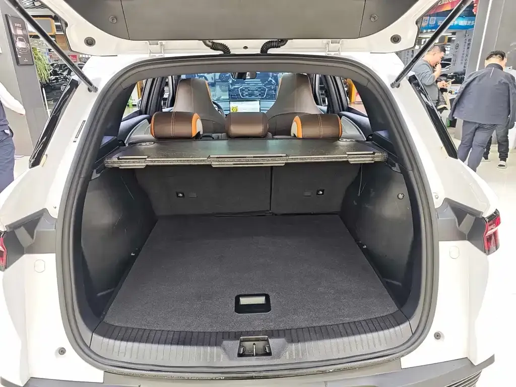 BYD Pro New Energy — фото 10