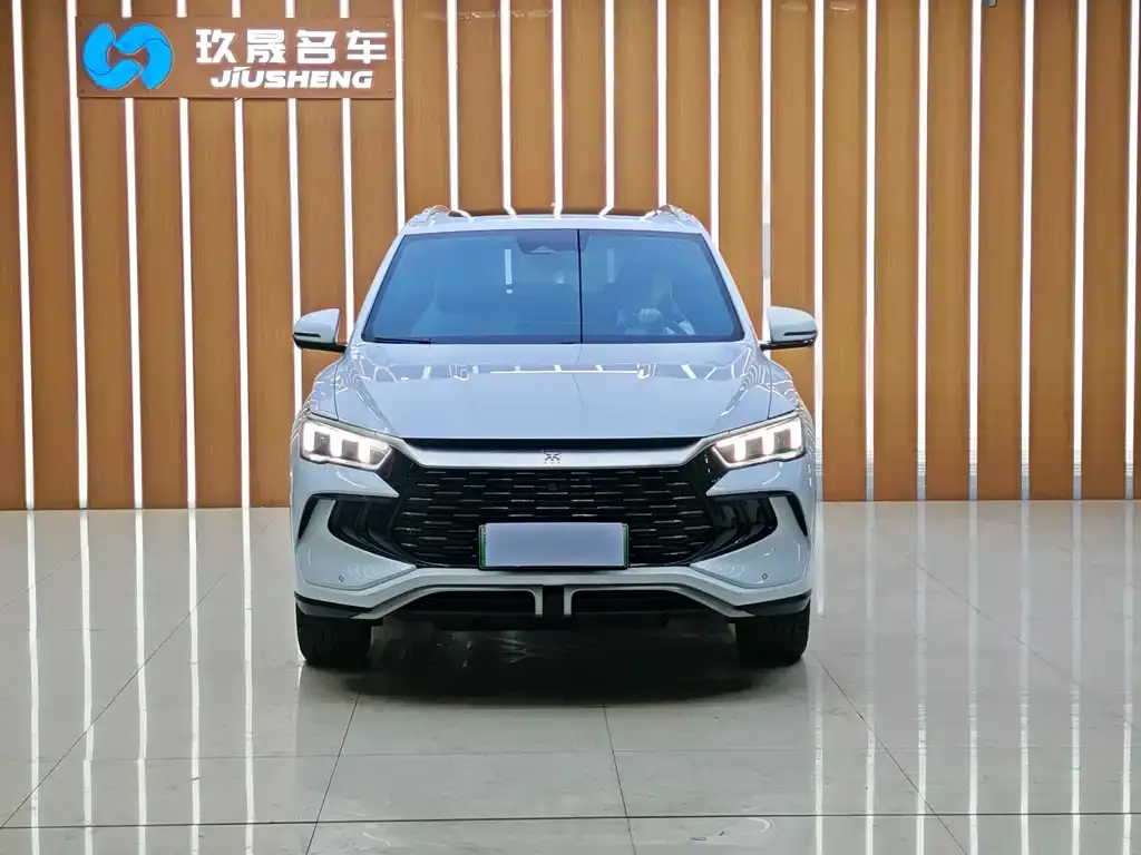 BYD Pro New Energy — фото 6