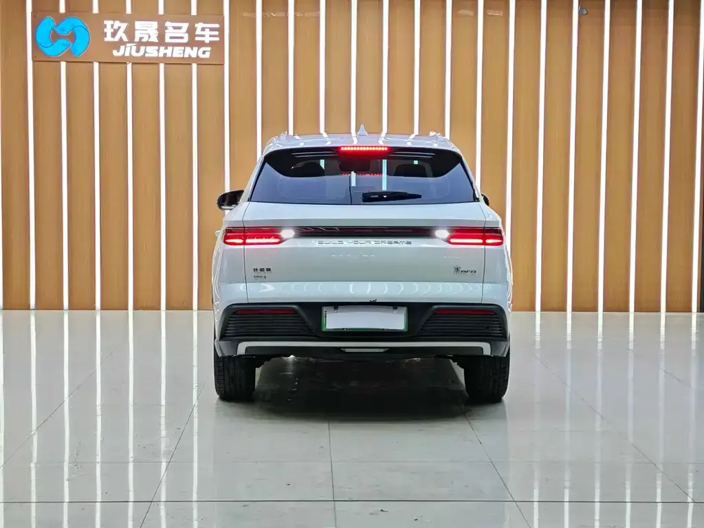BYD Pro New Energy — фото 2