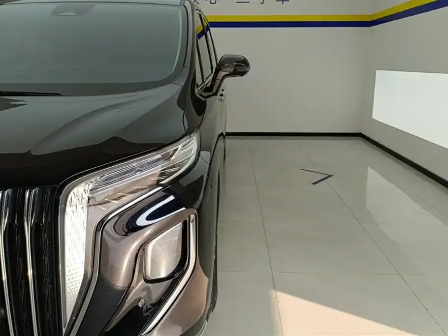 Hongqi HQ9 2023 из CN, фото 3