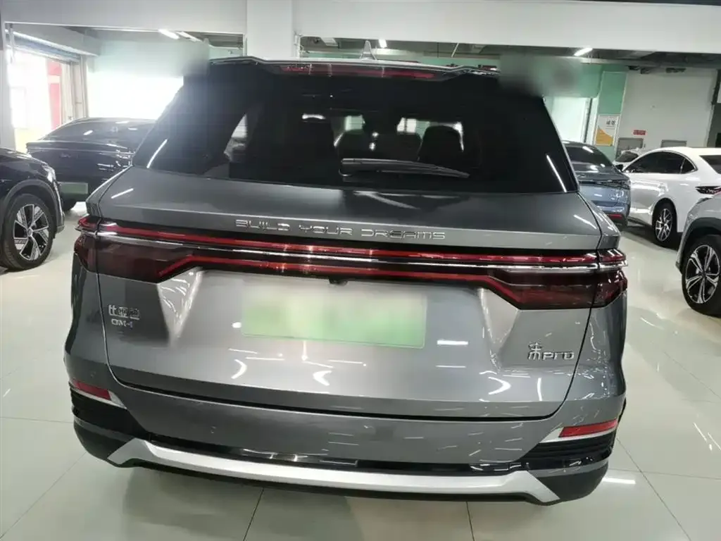 BYD Pro New Energy — фото 2