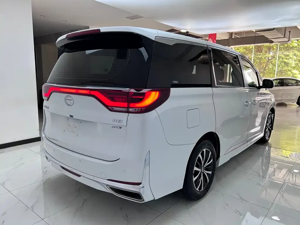 GAC Motor Trumpchi M8 2023 из CN, фото 8