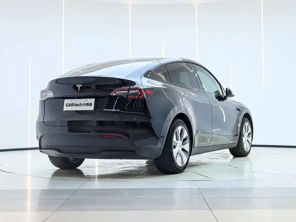 Tesla Model Y — фото 6