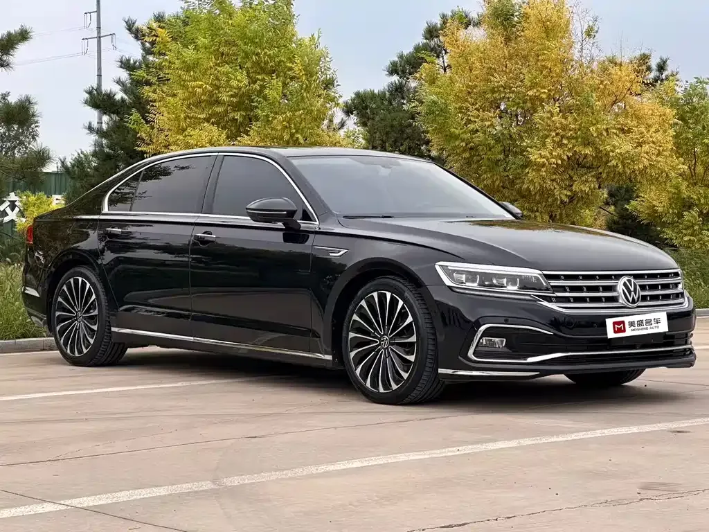 Volkswagen Phideon — фото 7