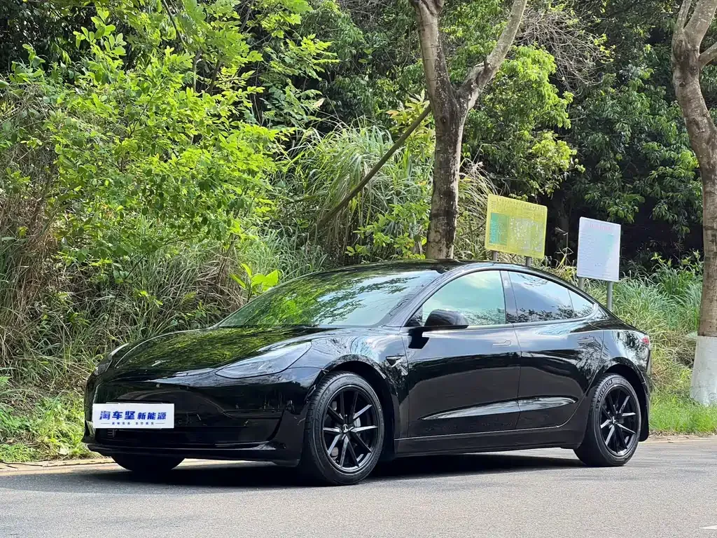 Tesla Model 3 — фото 1