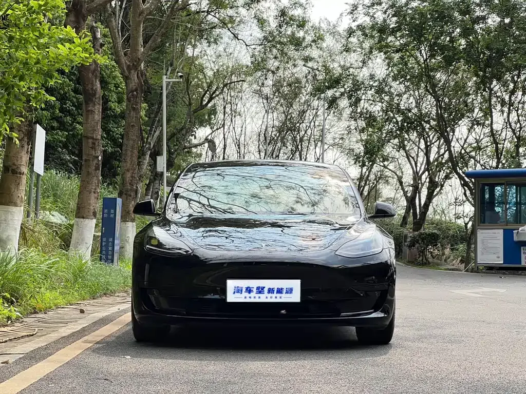 Tesla Model 3 — фото 4