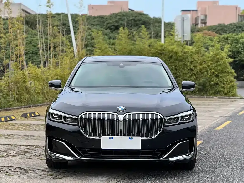 BMW 7 Series 2021 из CN, фото 6