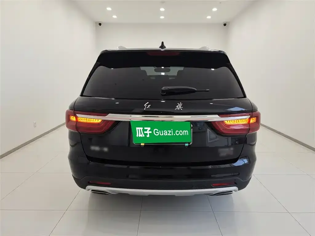 Hongqi HS7 2023 из CN, фото 2