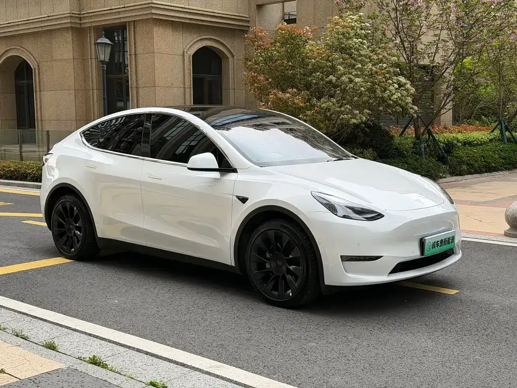 Tesla Model Y — фото 10
