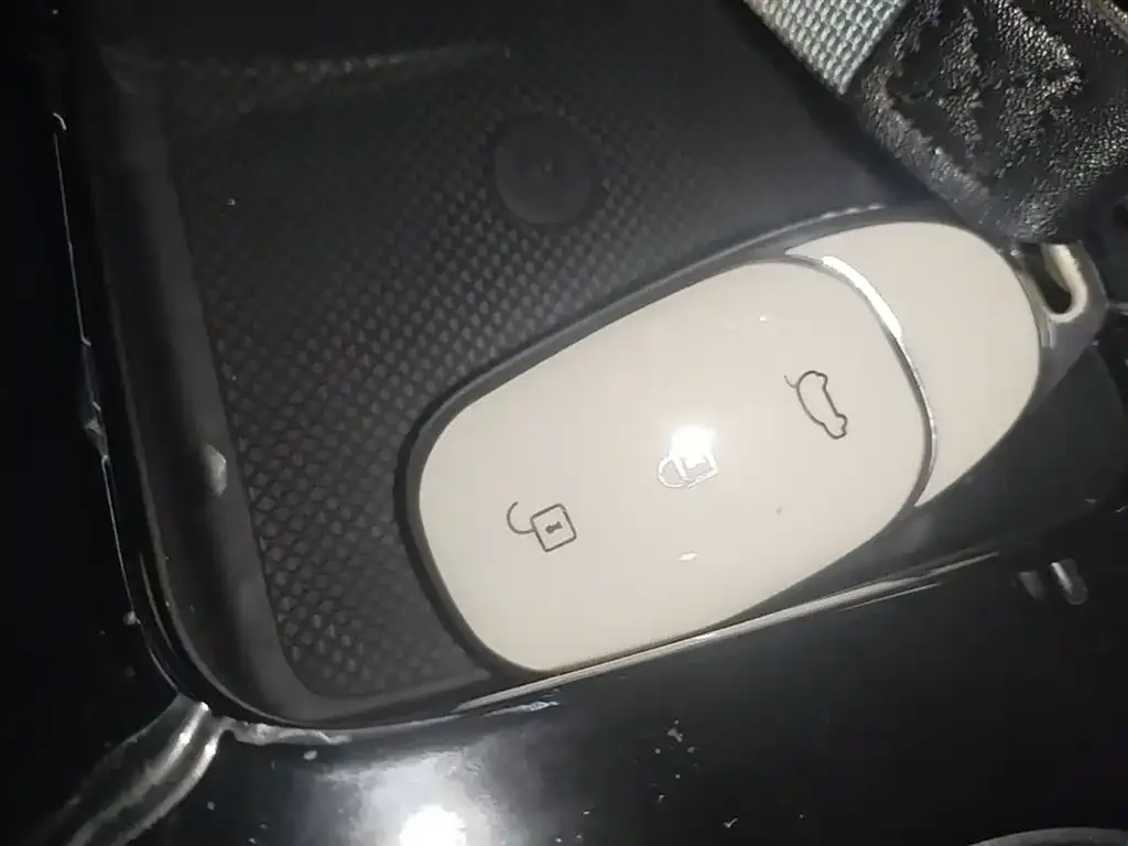 Li Auto ONE 2023 из CN, фото 3