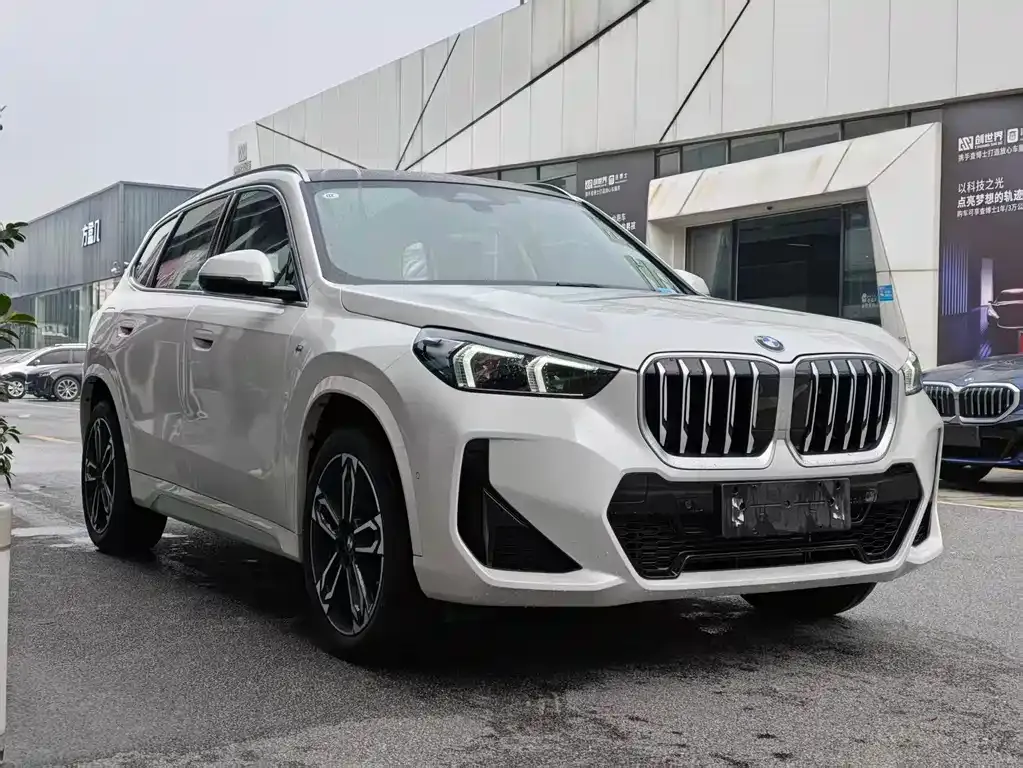 BMW X1 — фото 10