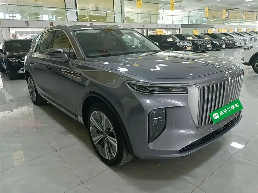 Hongqi E-HS9 — фото 4