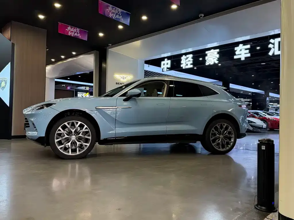 Aston Martin DBX 2022 из CN, фото 4