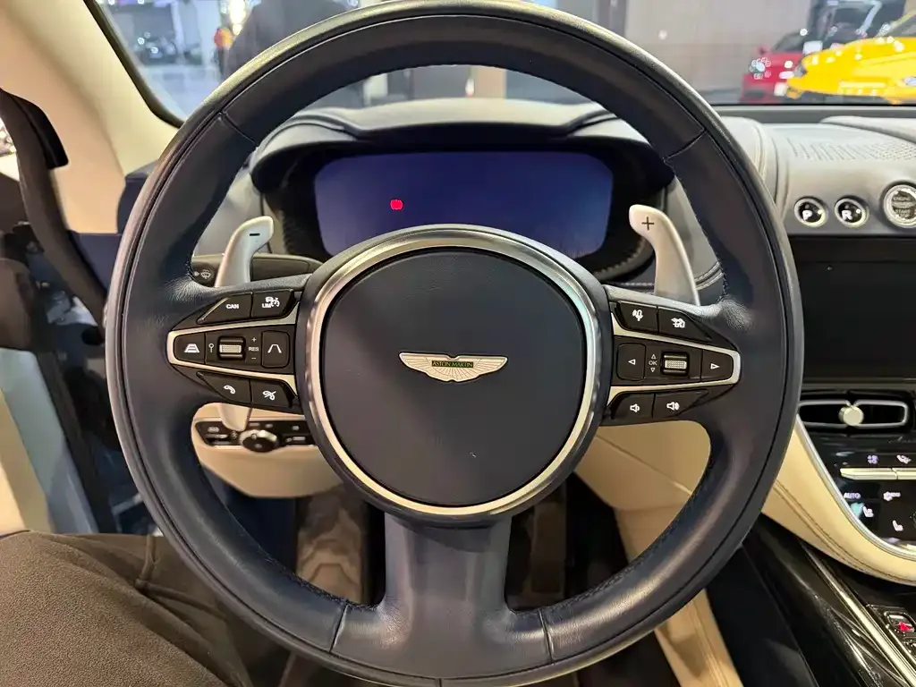 Aston Martin DBX 2022 из CN, фото 5