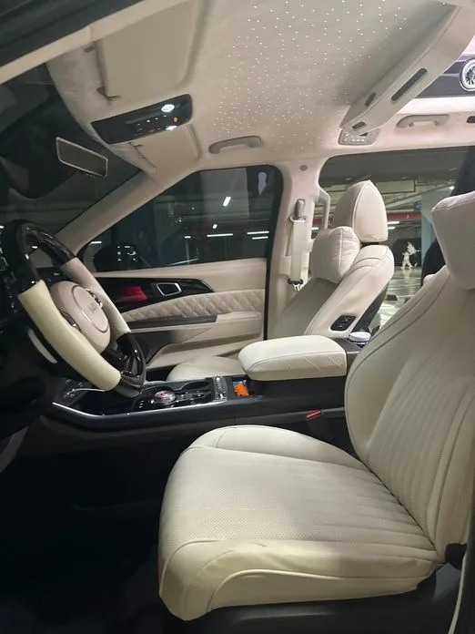 Kia Carnival 2025 из KR, фото 4
