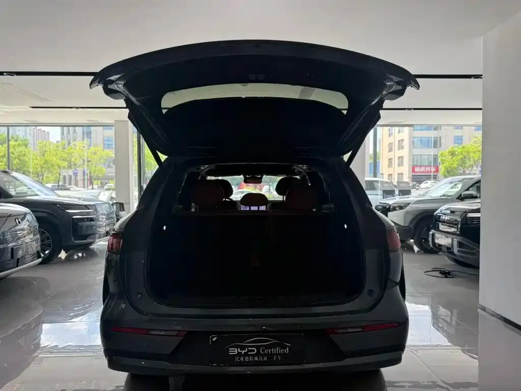 BYD Tang L 2025 из CN, фото 4