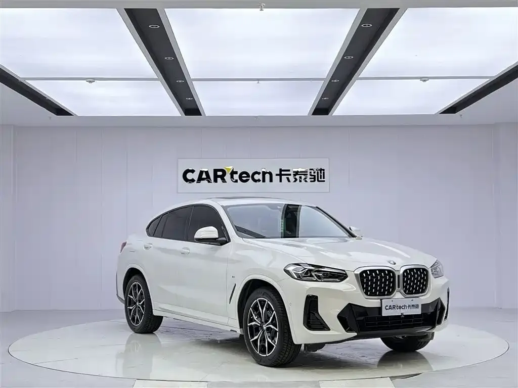 BMW X4 — фото 4
